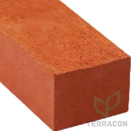 Wirecut Brick